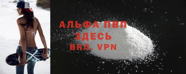 эйфоретик Инсар
