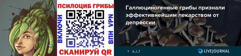 закладка  Томари  Галлюциногенные грибы мухоморы 